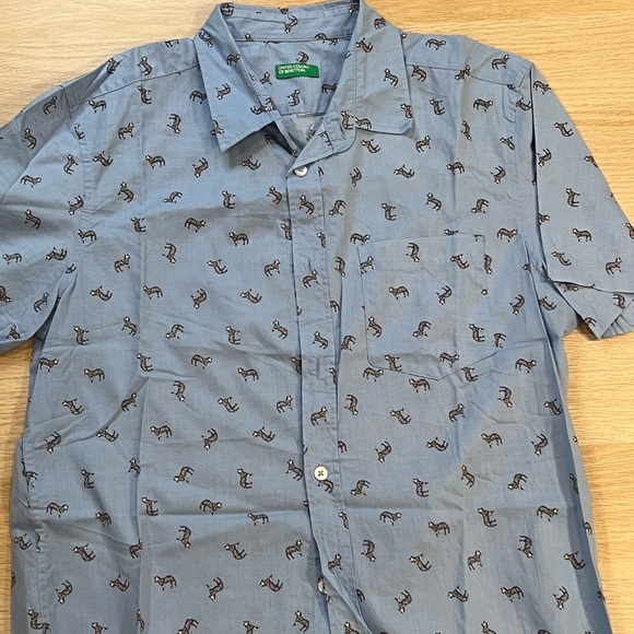Blue Zebra Button Down Short Sleeve Shirt - Picture 2 of 5